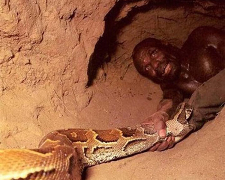 نحوه عجیب شکار مارهای پیتون غول پیکر با استفاده از پا توسط بومیان آفریقایی + فیلم