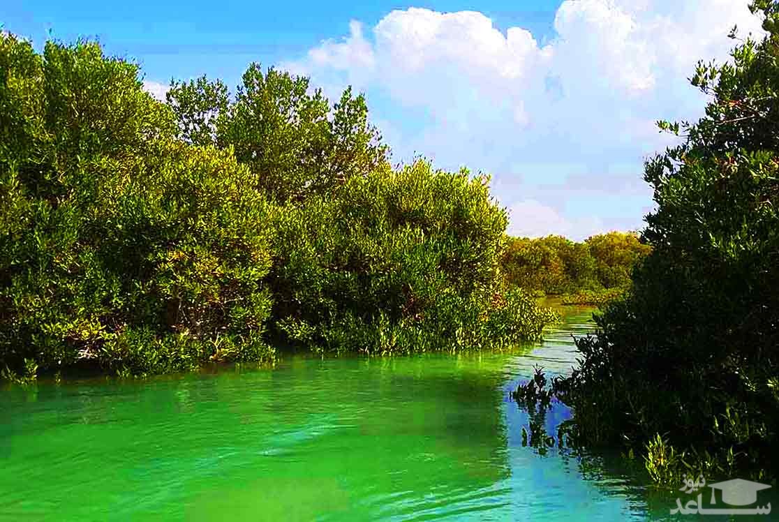 بهترین جاهای دیدنی قشم