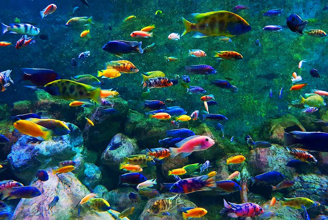 بهترین جاهای دیدنی قشم