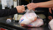 قیمت روز هر کیلو مرغ تازه در بازار