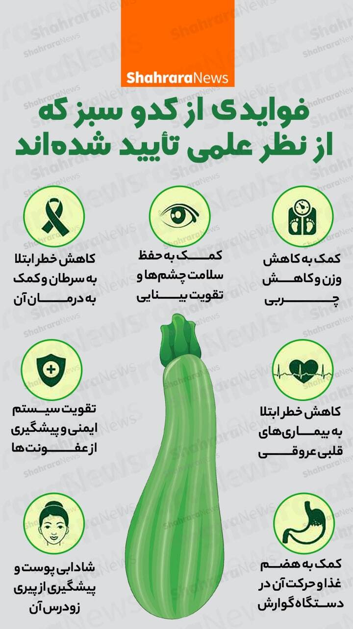 خواص باورنکردنی کدو سبز برای بدن که از بی اطلاعید! + عکس