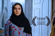 جایزه آمریکایی برای یک فیلم ایرانی