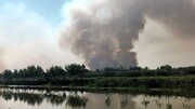 ۴۰ هکتار از تالاب انزلی در آتش سوخت