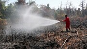 آتش سوزی هولناک جنگل های هیرکانی در ارتفاعات کلاردشت + اعزام بالگرد به منطقه / فیلم
