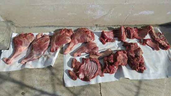  قیمت هر کیلو گوشت گراز ۶۰ هزار تومان! /  سرو گوشت گراز در رستوران ها صحت دارد؟