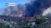 سوختن چهار هزار هکتار جنگل درپی وقوع آتش سوزی در کالیفرنیای آمریکا + فیلم