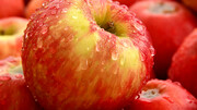 میوه های مفید برای بیماران مبتلا به دیابت و قند خون + عکس
