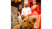 اقدام عجیب شجاع ترین عروس و داماد دنیا + عکس