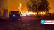 سوختن ۲۰۰۰۰ هکتار از جنگل های کالیفرنیا درپی آتش‌سوزی هولناک + فیلم