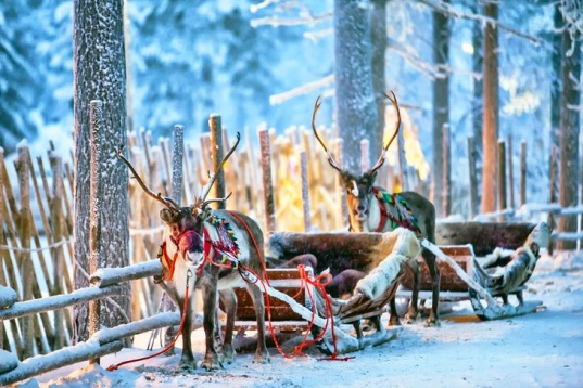 ۴ جاذبه گردشگری برتر در فنلاند + عکس