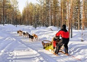 ۴ جاذبه گردشگری برتر در فنلاند + عکس