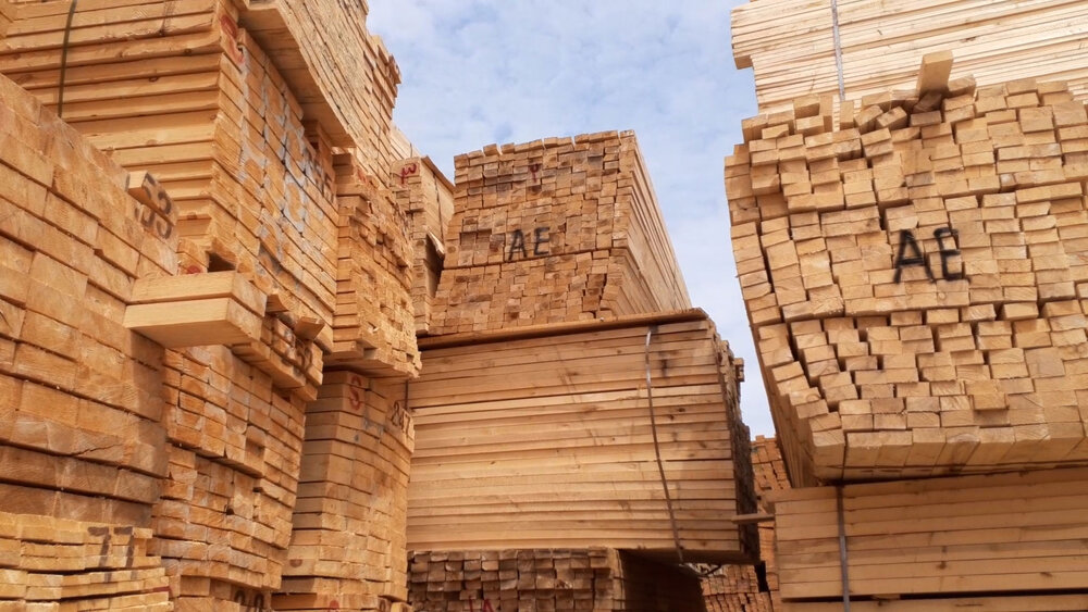 ایلنا1