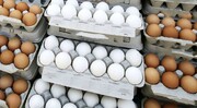 تخم مرغ باز هم گران شد / هر شانه تخم‌ ۹۰ هزار تومان!