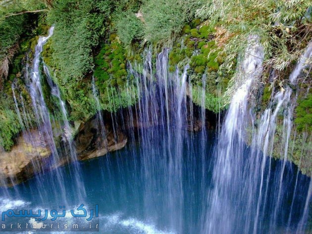  طبیعی‌ترین آفت کش دنیا در اصفهان 