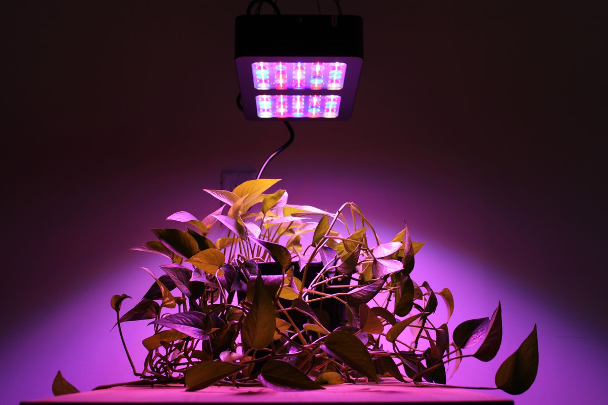 نور مصنوعی برای گیاهان چیست؟