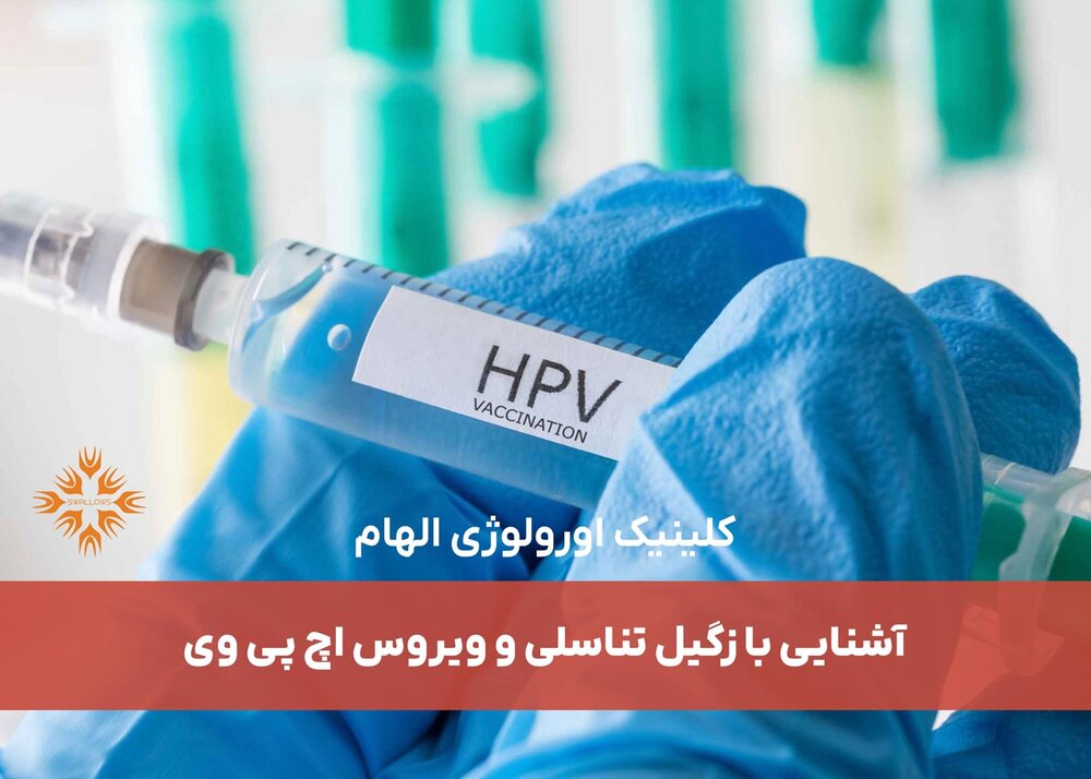 آشنایی با زگیل تناسلی و ویروس اچ پی وی آشنایی با زگیل تناسلی و ویروس اچ پی وی