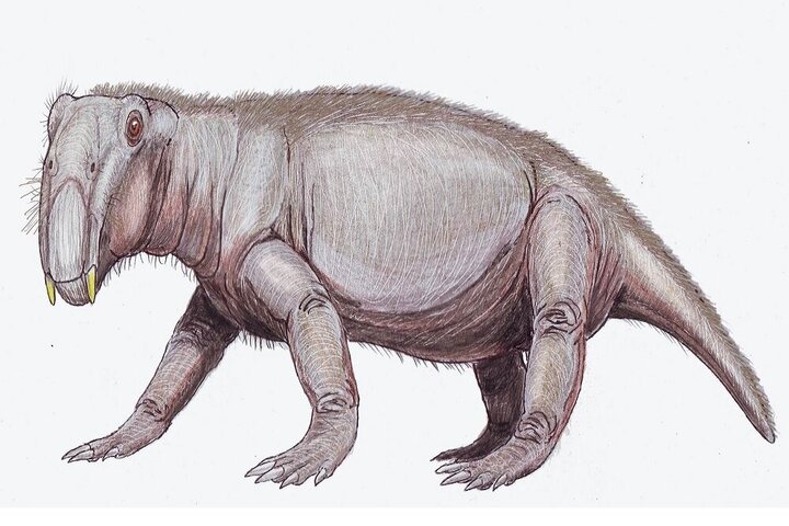 خوک در زمان دایناسورها این شکلی بوده!