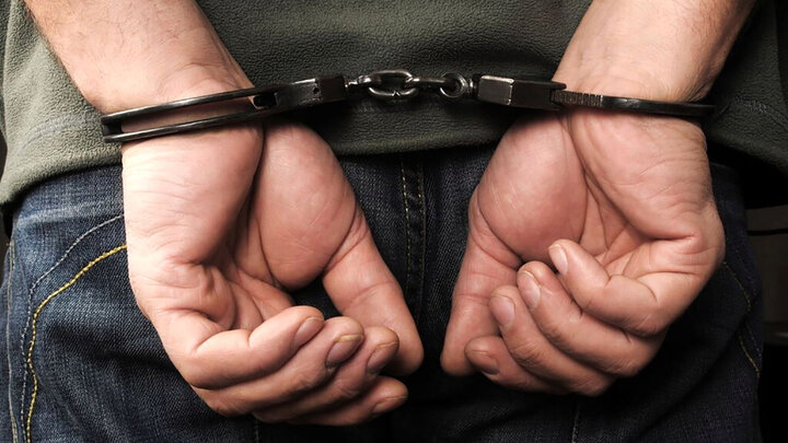 بازداشت ۱۷ نفر خارجی در بوشهر