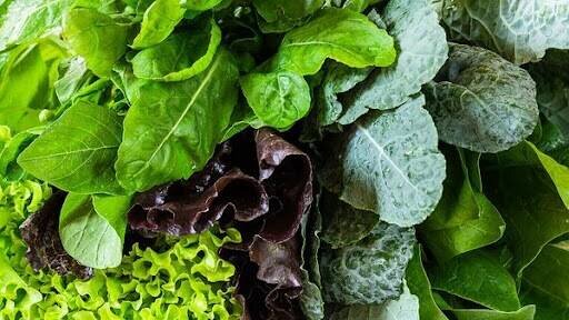 کاهش وزن و تناسب اندام با مصرف این سبزیجات فیبردار! + عکس