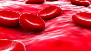 دانشمندان یک گروه خونی جدید کشف کردند