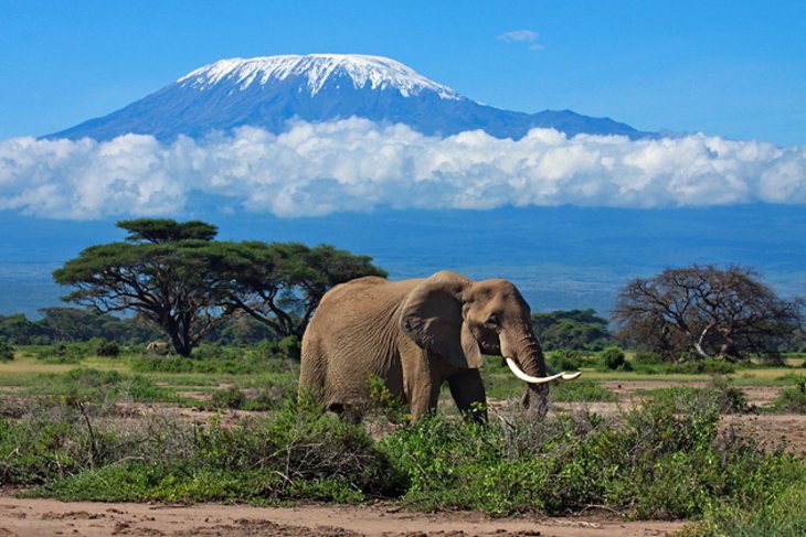 ۴ جاذبه برتر گردشگری در تانزانیا + عکس