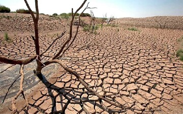 احتمال خشکسالی گیلان در چند سال آینده + بارش ها ۳۰ درصد کاهش یافت
