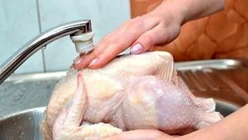 به این دلیل مهم مرغ را نشویید!