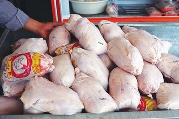 قیمت مرغ در تهران به ۶۵ تا ۷۵ هزار تومان رسید / علت افزایش قیمت مرغ چیست؟