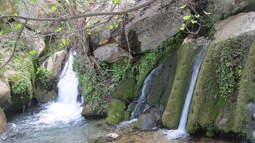 آبشاری در تنگه‌ای پوشیده از درختان بلوط