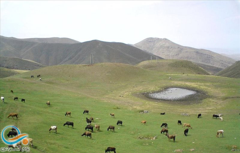 گیلارلو ؛ دریاچه‌ای مصنوعی در دل اردبیل 