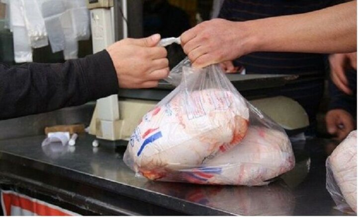  مرغ ارزان شد / توزیع گوشت مرغ منجمد با قیمت ۴۸ هزار تومان