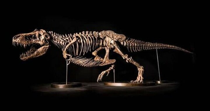کشف فسیل جنین دایناسور با قدمت ۷۲ میلیون سال از داخل تخم + عکس