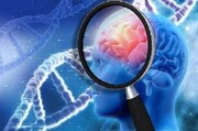 کشف جدید دانشمندان درباره بیماری آلزایمر