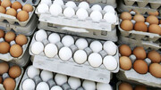 قیمت تخم مرغ تغییر می‌کند