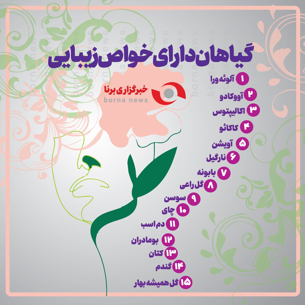 گیاهان مناسب زیبایی-01
