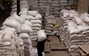 وضعیت برنج‌های باران‌زده وارداتی در زاهدان چه شد؟
