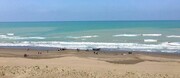بهترین ساحل محمود آباد