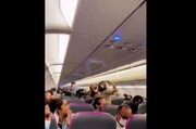 ویدیو دیده نشده از حمله پشه‌های مزاحم به کابین هواپیما
