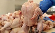 کاهش التهابات در بازار مرغ / قیمت مرغ در بازار چند؟