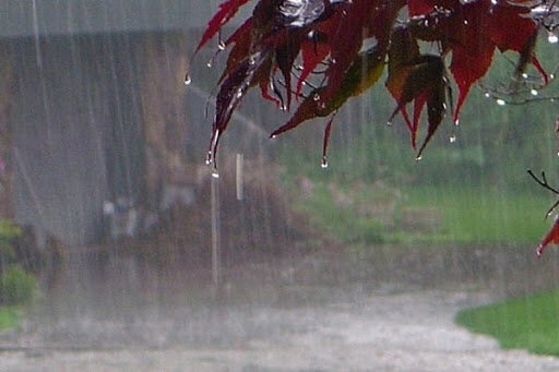 گزارش هواشناسی ۲۶ مهر ۱۴۰۱ / سامانه بارشی جدید این استان‌ها را بارانی می‌کند؟