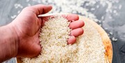 از کجا بفهمیم یک برنج با کیفیت و اصل است؟ + نحوه تشخیص ساده / فیلم