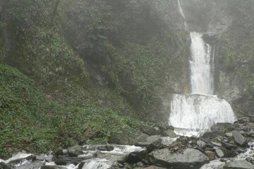 آبشاری زیبا در میان دره‌ای انبوه از درختان جنگلی