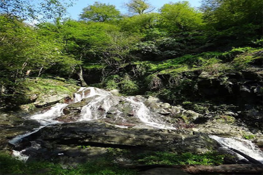آبشاری روح‌نواز در دل جنگل‌های رامسر 