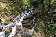 آبشاری در مسیر جنگل‌های محمودآباد