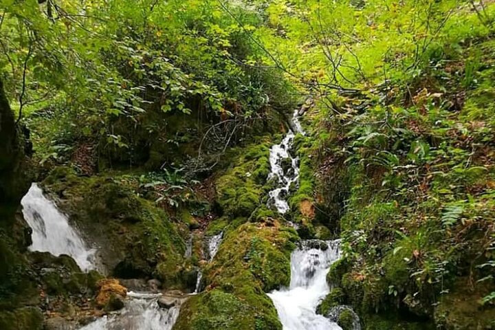 آبشار تمام خزه‌ای ایران در ساری 