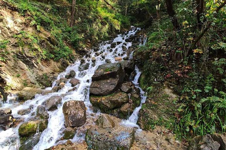 آبشاری در مسیر جنگل‌های محمودآباد 