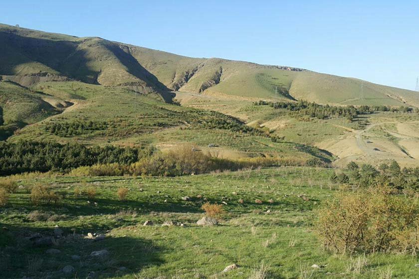 روستایی با ۱۶۰۰ نفر جمعیت در نهاوند