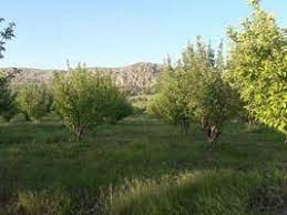 روستایی با ۱۹۵۰ نفر در دل فامنین 