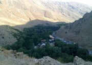 دره بید ؛ روستای لاله‌های واژگون