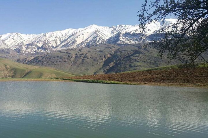 روستایی با ۱۶۰۰ نفر جمعیت در نهاوند